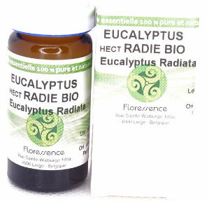 Eucalyptus radié (Eucalyptus Radiata) Bio 10ml