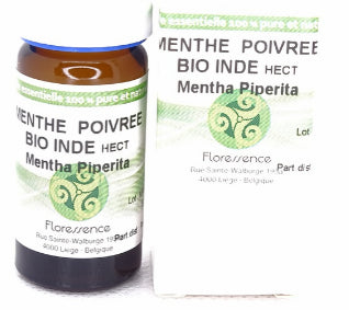 Menthe poivrée Inde (Mentha Piperita) Bio