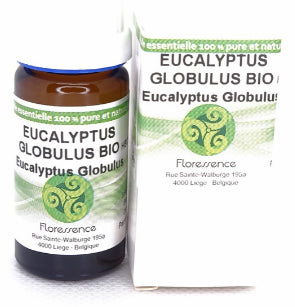 Eucalyptus Globuleux (Eucalyptus Globulus) Bio 10ml