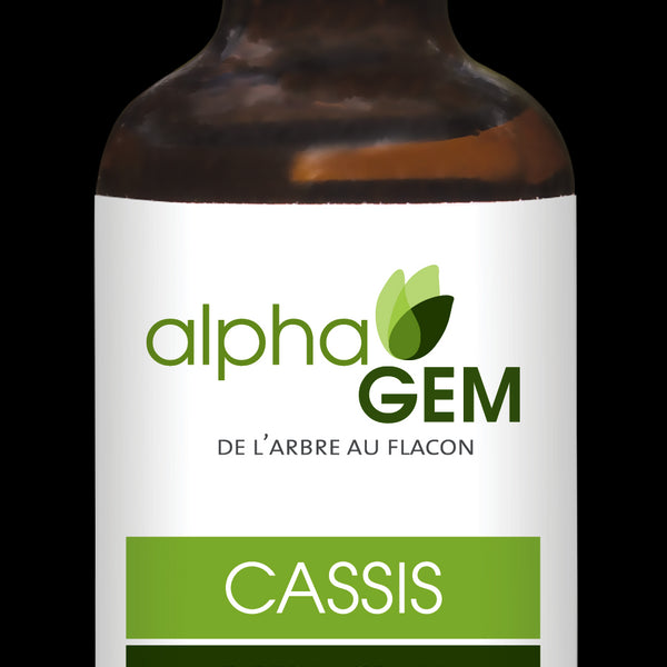 Cassis (Ribes Nigrum) Bio 50ml