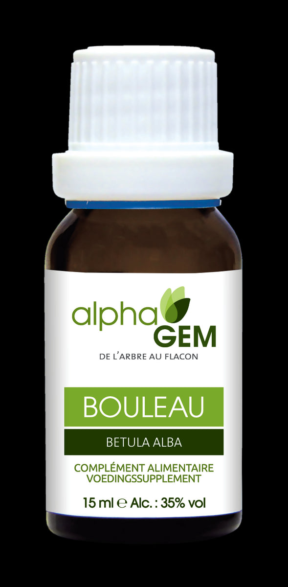 Bouleau (Betula Alba) Bio 50ml