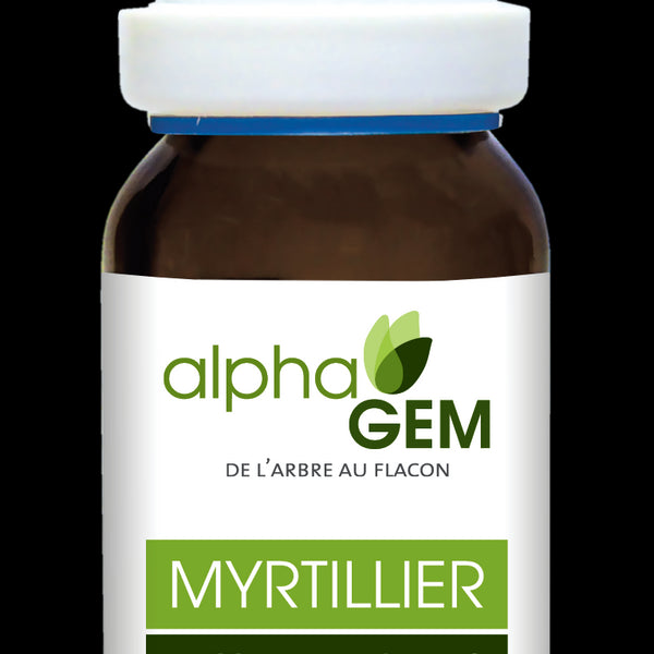 Myrtillier (vaccinium myrtillus) Bio 15 ml