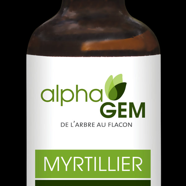 Myrtillier (vaccinium myrtillus) Bio 15 ml