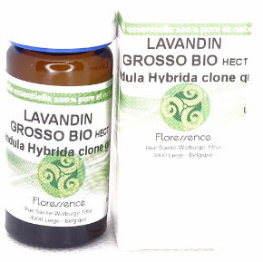 Lavandin Grosso (Lavandula Hybrida clone abrialis) Bio 10ml