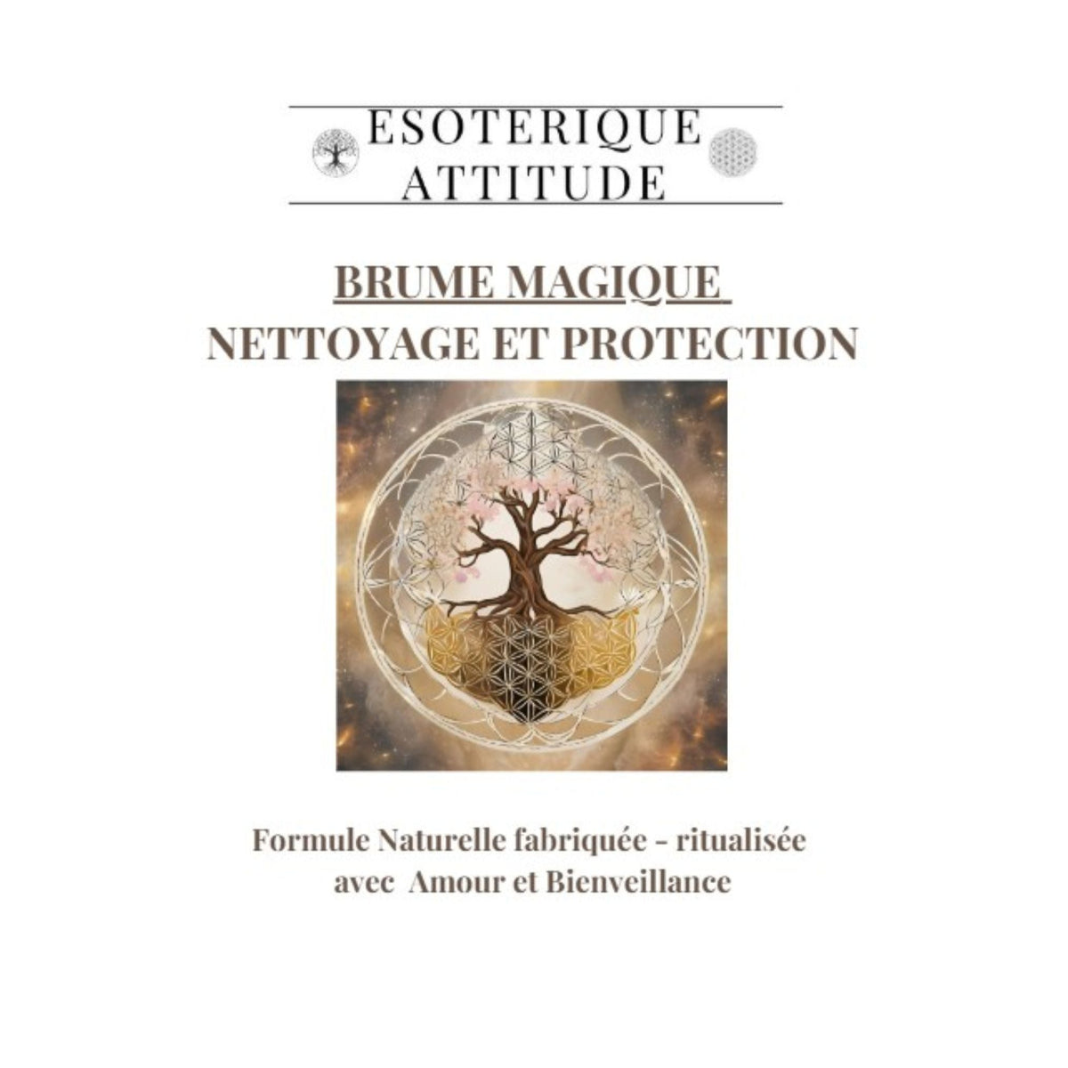 Brume Magique Protection et Purification 100ml